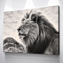 Load image into Gallery viewer, Lion Wall Art | Lion Canvas | Living Room Bedroom Canvas Wall Art Set | Lion with Long Mane Sitting on a Hillside v3