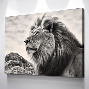 Lion Wall Art | Lion Canvas | Living Room Bedroom Canvas Wall Art Set | Lion with Long Mane Sitting on a Hillside v3