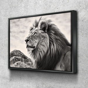 Lion Wall Art | Lion Canvas | Living Room Bedroom Canvas Wall Art Set | Lion with Long Mane Sitting on a Hillside v3