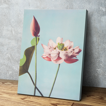 Load image into Gallery viewer, Ogawa Kazumasa’s Hand-Coloured Photographs of Flowers Bathroom Wall Art | Living Room Wall Art | Bathroom Wall Decor | Bathroom Canvas Art Prints | Canvas Wall Art