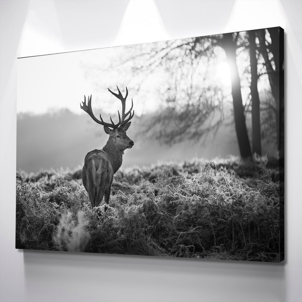 Black and White Canvas Wall Art | Living Room Bedroom Wall Art | Stag Deer Sunset Forest Black and White Canvas Wall Art Set Landscape