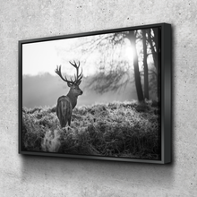 Load image into Gallery viewer, Black and White Canvas Wall Art | Living Room Bedroom Wall Art | Stag Deer Sunset Forest Black and White Canvas Wall Art Set Landscape