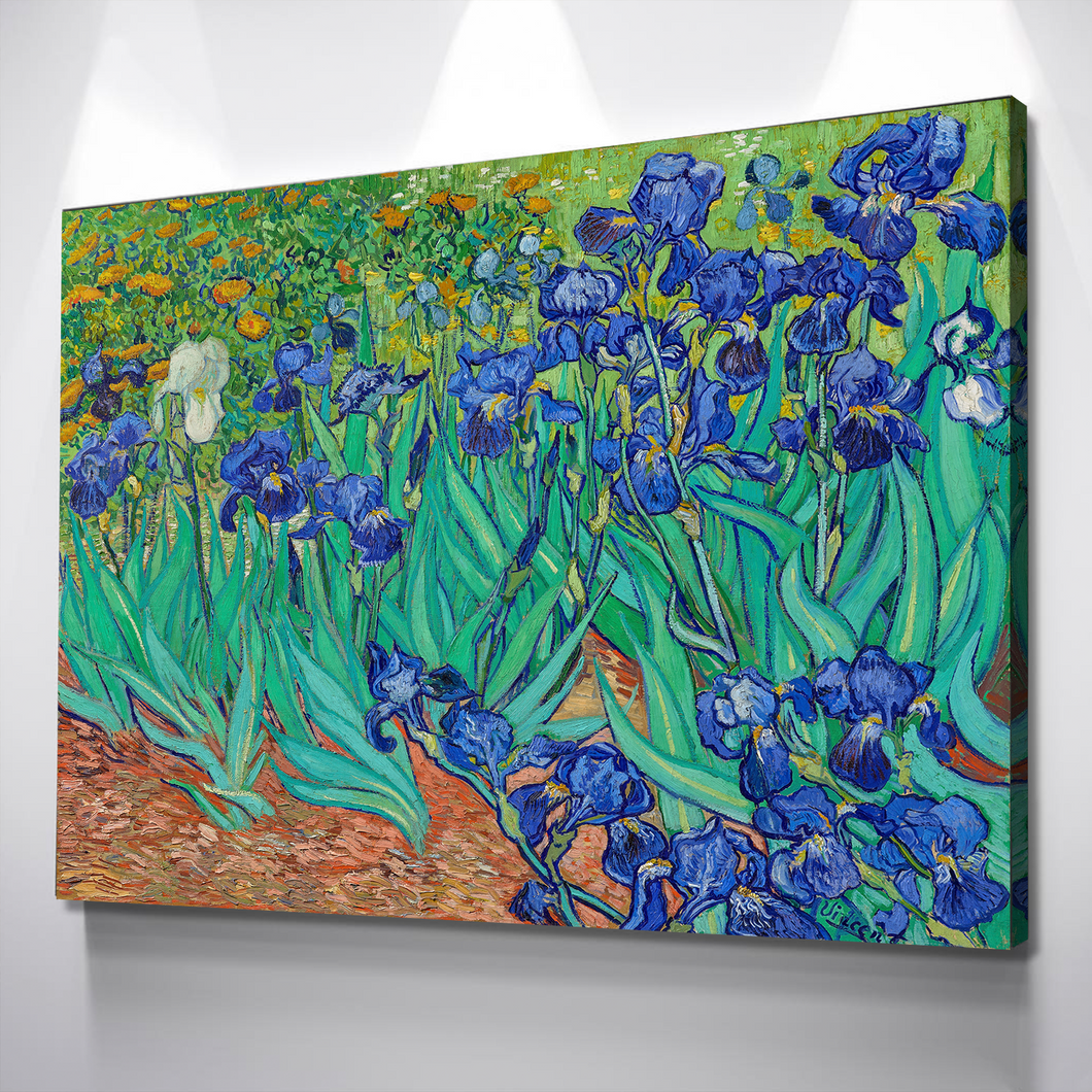 Vincent Van Gogh's Irises Print | Van Gogh Prints | Canvas Wall Art