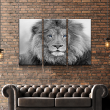 Load image into Gallery viewer, Lion Wall Art | Lion Canvas | Living Room Bedroom Canvas Wall Art Set | Black and White Blue Eyed Lion