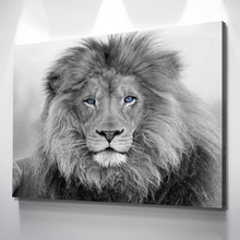 Load image into Gallery viewer, Lion Wall Art | Lion Canvas | Living Room Bedroom Canvas Wall Art Set | Black and White Blue Eyed Lion