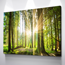 Load image into Gallery viewer, Living Room Wall Art| Landscape Wall Art Canvas Prints | Forest Wall Art | Forest Scenery Canvas Wall Art | Green Countryside Forest