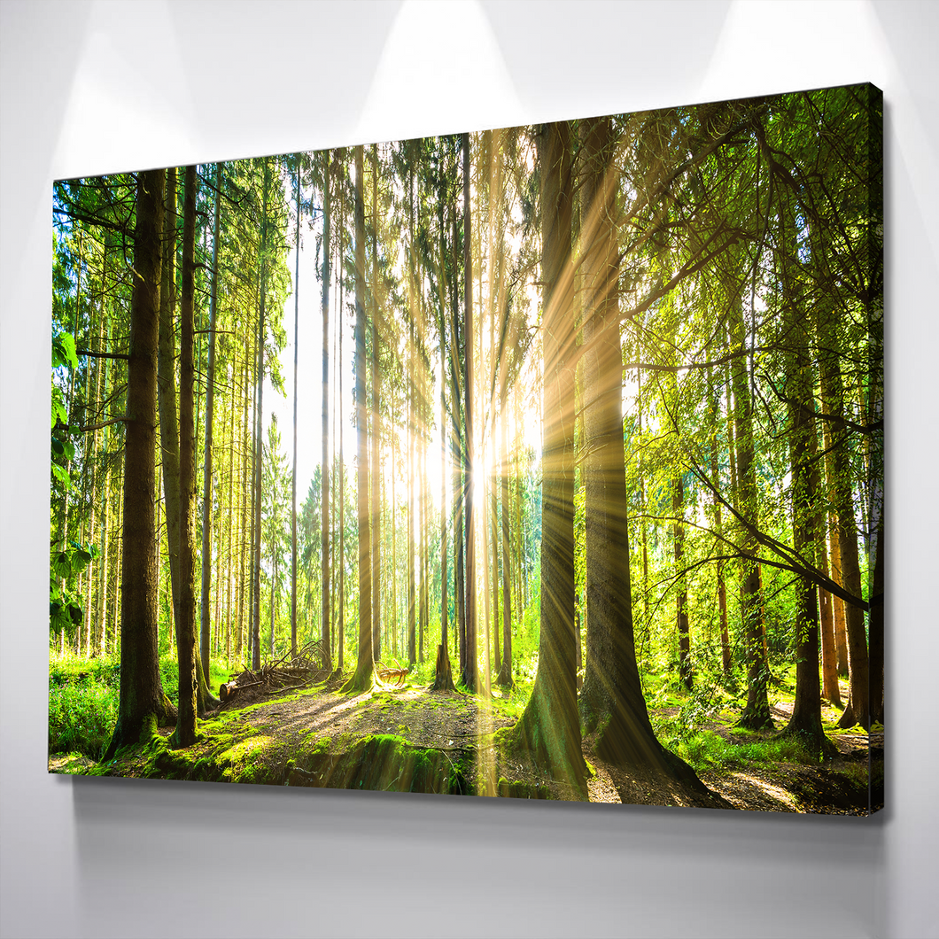 Living Room Wall Art| Landscape Wall Art Canvas Prints | Forest Wall Art | Forest Scenery Canvas Wall Art | Green Countryside Forest