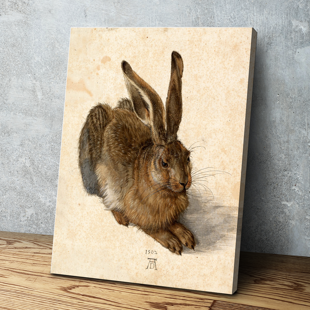 Young Hare by Albrecht Durer Art Print Portrait Vintage Poster Canvas Wall Art Décor Gift
