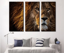 Load image into Gallery viewer, Close Up Lion Canvas Wall Art Set