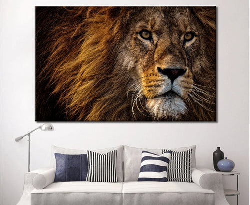 Close Up Lion Canvas Wall Art Set