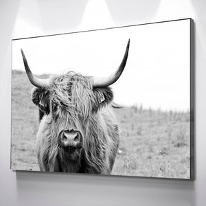 Highland Cow Print Canvas Poster Picture Black and White Canvas Wall Art Ready to Hang Canvas