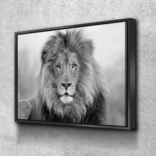 Load image into Gallery viewer, Lion Wall Art | Lion Canvas | Black and White Lion Canvas Wall Art Set