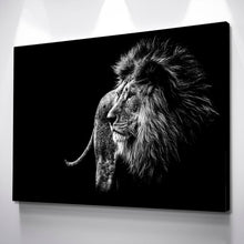 Load image into Gallery viewer, Lion Wall Art | Lion Canvas | Black and White Lion Canvas Wall Art Set BWR