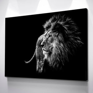 Lion Wall Art | Lion Canvas | Black and White Lion Canvas Wall Art Set BWR