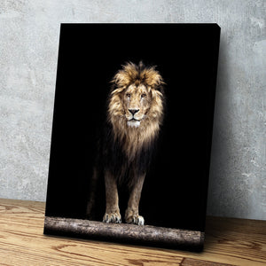 Lion Wall Art | Lion Canvas | Majestic Lion Canvas Wall Art Set