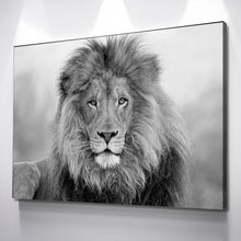 Load image into Gallery viewer, Lion Wall Art | Lion Canvas | Black and White Lion Canvas Wall Art Set