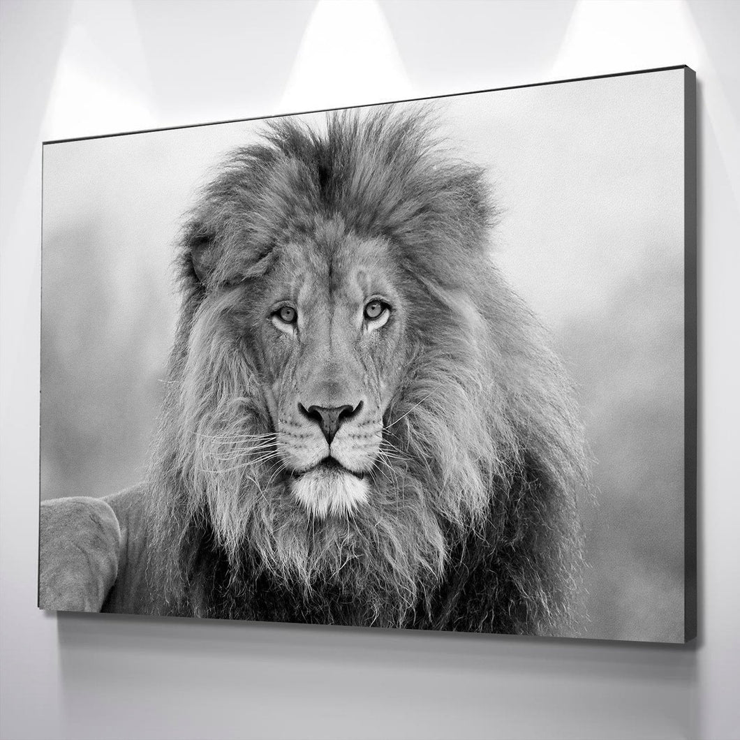 Lion Wall Art | Lion Canvas | Black and White Lion Canvas Wall Art Set