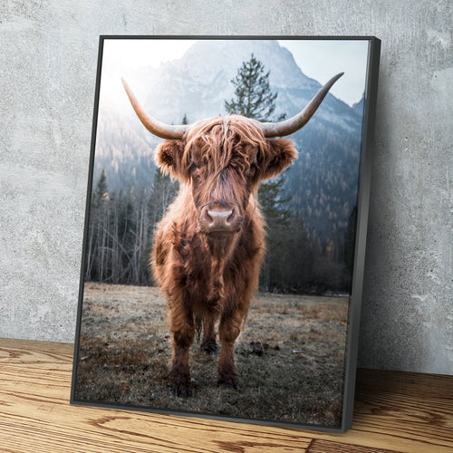 Highland Cow Picture Portrait Full Color | Highland Cow Wall Art Print Poster | Canvas Wall Art