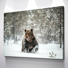 Load image into Gallery viewer, Brown Bear Canvas Wall Art | Bear Canvas | Wildlife Animal Prints in Snowy Forest Canvas Wall Art Set