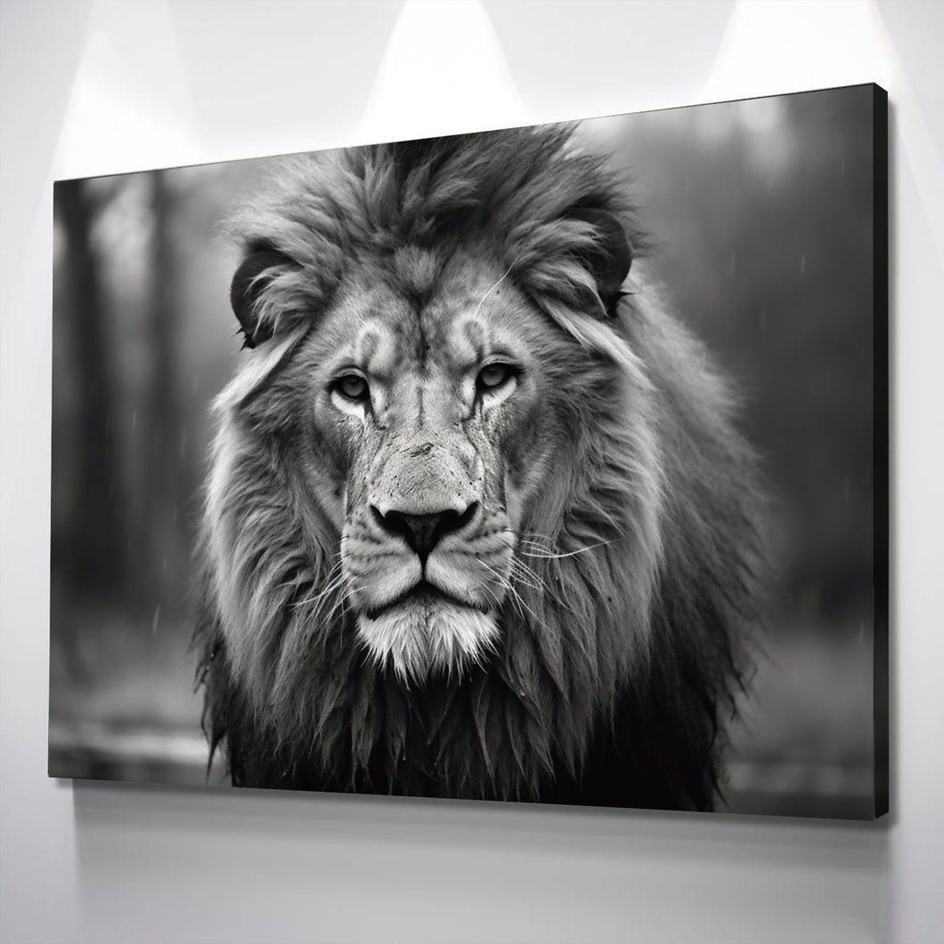 Lion Wall Art | Lion Canvas | Living Room Bedroom Canvas Wall Art Set | Black and White Lion with Big Brows