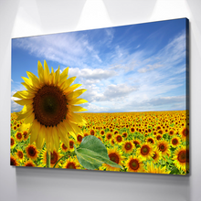 Load image into Gallery viewer, Sunflower Canvas Painting | Summer Sunflower Field Flowers Yellow | Sunflower Canvas Wall Art | Sunflower Wall Decor Print | Living Room Bedroom Wall Decor